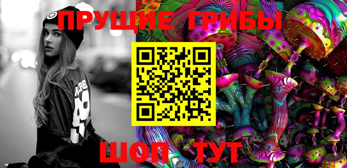 Псилоцибиновые грибы мицелий Дагестанские Огни