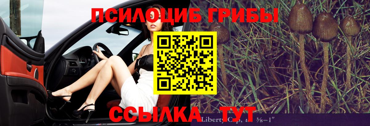 Дагестанские Огни  наркотики  Вход с VPN  Галлюциногенные грибы мицелий 